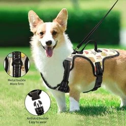 Flradish Summer Food Adjustable Pet Carrier With Handle Cat Carrier And Leash Anti-Escape Suitable For Outdoor Walking -Greenies Pet Store 516HTxsr6SL