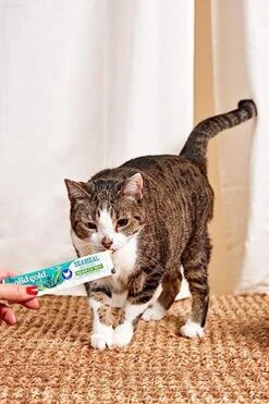 Solid Gold Lickable Cat Treats - Chicken SeaMeal Squeeze Squeezable Cat Treats For Indoor Cats 30 Pack - Made With Fiber-Rich Seaweed For Digestive Health For Immune Support - 3 Oz / 30 Count -Greenies Pet Store 516I6GyWBhL