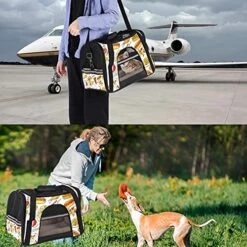 Pet Carrier Fast Food Pizza Hamburg Hot Dog Pattern Soft-Sided Pet Travel Carriers For Cats,Dogs Puppy Comfort Portable Foldable Pet Bag Airline Approved -Greenies Pet Store 516utAyHJZS