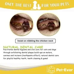 PET-EVER Freeze Dried Raw Cat And Dog Treats Single Ingredient HypoallergenicHumanely Raised Factory Made,Freeze Dried Chicken Necks,3.5oz -Greenies Pet Store 516yosZwnHL