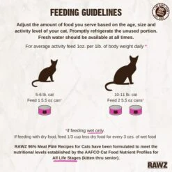 Rawz Natural Premium Pate Canned Cat Wet Food - Made With Real Meat Ingredients No BPA Or Gums - 5.5oz Cans 24 Count (Salmon) -Greenies Pet Store 518iAeQdzJL