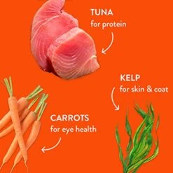 Shameless Pets Air Dried Raw Cat Food Topper & Treat - All Natural Nutritionally Packed Tuna Cat Treats With High Protein, Upcycled Ingredients 12 Shameless Pets Air Dried Raw Cat Food Topper & Treat - All Natural Nutritionally Packed Tuna Cat Treats With High Protein, Upcycled Ingredients -Greenies Pet Store 519ltrJQunL