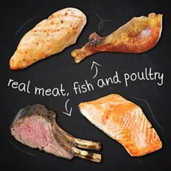 Hound & Gatos Dry Cat Food, Wild Caught Salmon Recipe, 2 Lb Bag -Greenies Pet Store 51BF0sDMu3L