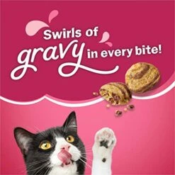 Purina Friskies Dry Cat Food, Gravy Swirlers - 22 Lb. Bag -Greenies Pet Store 51ByQosrpHL