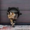 GENERIC CATDGET Cat Door, Exterior Cat Door, Security & Privacy, Pet Door, Exterior Or Interior Door, 4-Way Locking, Cat Design, No-Flap, Easy Install (Black) -Greenies Pet Store 51CjXDnD1IL