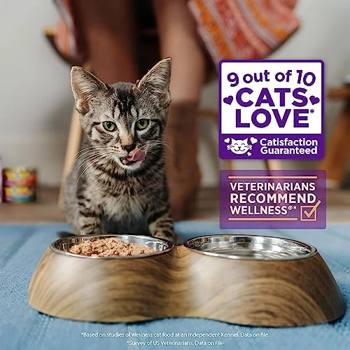 Wellness CORE Grain-Free Wet Cat Food, Natural Canned Food For Cats, Made With Real Meat (Chicken, Turkey & Chicken Liver Pate, 3 Oz Cans, Pack Of 12) 4 Wellness CORE Grain-Free Wet Cat Food, Natural Canned Food For Cats, Made With Real Meat (Chicken, Turkey & Chicken Liver Pate, 3 Oz Cans, Pack Of 12) - Image 2
