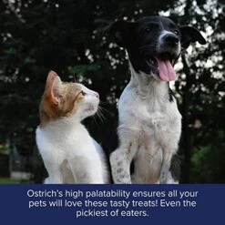 American Ostrich Farms Ostrich Organ Treats - All Natural Pet Treat - High In Protein And Essential Nutrients, 2.5 Oz Bag (3 Pack) -Greenies Pet Store 51EZ2B0RMUL