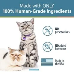 JustFoodForDogs JustFoodForCats Salmon Treats - Fresh Cat Treats 5 Oz - Whole Food Treat Snacks For Kittens & Cats - No Preservatives, No Hormones Added, Lean, Low Fat, USA Made - BPA - Free Packaging -Greenies Pet Store 51FeWTXJGnL