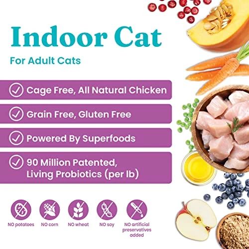 Solid Gold Indoor Dry Cat Food - Let's Stay In Cat Food Dry Kibble For Indoor Cats - Hairball & Sensitive Stomach - Grain & Gluten Free - Probiotics & Fiber For Digestive Health - Chicken - 12lb 4 Solid Gold Indoor Dry Cat Food - Let's Stay In Cat Food Dry Kibble For Indoor Cats - Hairball & Sensitive Stomach - Grain & Gluten Free - Probiotics & Fiber For Digestive Health - Chicken - 12lb - Image 2