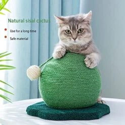 JYDQM Cats Tree Scratcher Woven Cats Scratch Cactus Ball With Wood Base Pet Toy Scratch Board Ball Pet Cat Supplies (Color : C, Size : One Size) -Greenies Pet Store 51HOJXmB4VL