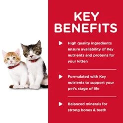 Hill's Science Diet Wet Cat Food, Kitten, Tender Chicken Dinner, 5.5 Oz. Cans, 24-Pack 8 Hill's Science Diet Wet Cat Food, Kitten, Tender Chicken Dinner, 5.5 Oz. Cans, 24-Pack -Greenies Pet Store 51MrRTp0VbL