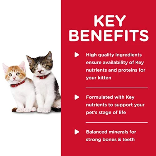 Hill's Science Diet Wet Cat Food, Kitten, Tender Chicken Dinner, 5.5 Oz. Cans, 24-Pack 5 Hill's Science Diet Wet Cat Food, Kitten, Tender Chicken Dinner, 5.5 Oz. Cans, 24-Pack - Image 3