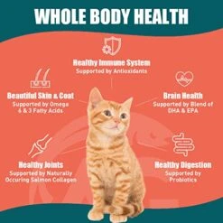 Alaskan Gold SUPER3+ (Salmon+Freeze Dried Raw Salmon+Salmon Fish Oil) Dry Cat Food | Kitten & Adult | High-Protein | Grain-Free | Allergy & Digestive Support| All-Natural | 10-lbs -Greenies Pet Store 51NQa865jyL