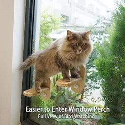PETKARAY Cat Window Shelf, Original Cat Window Perch Hammock, Durable Cat Seat For Window Sill, Sturdy Indoor Window Stairs For Large Cats 9 PETKARAY Cat Window Shelf, Original Cat Window Perch Hammock, Durable Cat Seat For Window Sill, Sturdy Indoor Window Stairs For Large Cats -Greenies Pet Store 51OLJ2wwKPL