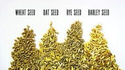 Thunder Acres Cat Grass Blend, Wheat, Barley, Oats, And Rye Mix, Non-GMO, Certified Organic, Bonus CAT Toy (5 LB) -Greenies Pet Store 51OoHgzQKpL. AC 2