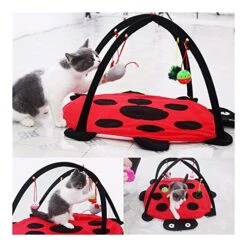YangYan Foldable Kitten Tents Funny Pet Cat Tent Toys Pets Play Bed Toys Cat Play Mat Blanket House With Hanging Toy Cute Beetle Shape (Color : Red) -Greenies Pet Store 51OseNxMbeL