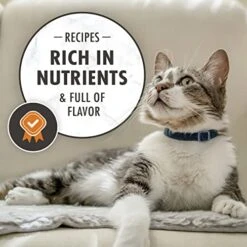 NUTRO WHOLESOME ESSENTIALS Natural Dry Cat Food, Adult Cat Chicken & Brown Rice Recipe Cat Kibble, 5 Lb. Bag -Greenies Pet Store 51P1aTYWLQL