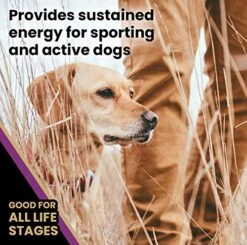 Victor Super Premium Dog Food – Professional Dry Dog Food – Super Premium Dog Food With 26% Protein, Gluten Free - For High Energy And Active Dogs & Puppies, 40lbs -Greenies Pet Store 51QKid6H5xL