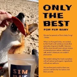 SIMBA'S WAY - Salmon Skin Bites Dog And Cat Treats, Organic Human Grade, Single Ingredient, All Natural, Grain-Free, No Preservatives, Made In The USA. [ 3 .oz ] [ 2 Pack ] -Greenies Pet Store 51Qx3wVPkvL