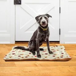 Food Pizza Mushroom Dog Bed Cat Bed Soft Comfortable Pet Bed Non-Slip Calming Kennel Pad For Small Medium Large Dogs Cats 2116483 -Greenies Pet Store 51TWw0oE3yL