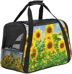 Pet Carrier Tasty Food Soft-Sided Pet Travel Carriers For Cats,Dogs Puppy Comfort Portable Foldable Pet Bag Airline Approved 24 Pet Carrier Tasty Food Soft-Sided Pet Travel Carriers For Cats,Dogs Puppy Comfort Portable Foldable Pet Bag Airline Approved -Greenies Pet Store 51Ym ccpWdS. AC