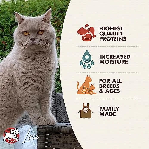 Fromm Four-Star Nutritionals Surf & Turf In Gravy Entrée - Premium Wet Cat Food - Chicken Recipe - Case Of (12) 5.5 Oz Cans 5 Fromm Four-Star Nutritionals Surf & Turf In Gravy Entrée - Premium Wet Cat Food - Chicken Recipe - Case Of (12) 5.5 Oz Cans - Image 3