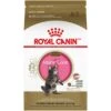 Royal Canin Feline Breed Nutrition Maine Coon Kitten Dry Cat Food, 3 Lb 1 Royal Canin Feline Breed Nutrition Maine Coon Kitten Dry Cat Food, 3 Lb -Greenies Pet Store 51ba6F7HUBL