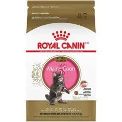 Royal Canin Feline Breed Nutrition Maine Coon Kitten Dry Cat Food, 3 Lb