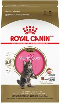 Royal Canin Feline Breed Nutrition Maine Coon Kitten Dry Cat Food, 3 Lb 13 Royal Canin Feline Breed Nutrition Maine Coon Kitten Dry Cat Food, 3 Lb -Greenies Pet Store 51ba6F7HUBL. AC