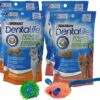 Purina Dentalife Dental Cat Treats 2 Flavor 4 Pouch Variety, 2 Each: Tasty Chicken, Savory Salmon (1.8 Ounces) | Plus 2 Catnip Toys Bundle -Greenies Pet Store 51bzLqgpVOL