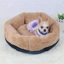 SENERY Winter Warm Beds For Small Dogs Deep Dish Dirt-Resist Waterproof Pet House Soft Comfort Puppy Cat Nest -Greenies Pet Store 51cQTSJecJL. AC