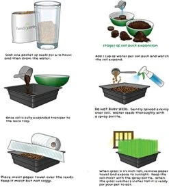 Handy Pantry Organic Cat Grass Kit - Includes 3 Trays, Soil Pucks, And 3 Packs Non GMO Wheatgrass Seed - A Healthy Treat For Cats, Dogs, Rabbits, More -Greenies Pet Store 51crNedE5TL