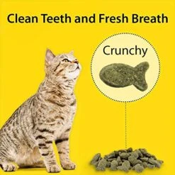 Emerald Pet 6 Pack Feline Dental Treats, 3 Ounces Each, Grain-Free Cat Treats Made In The USA (6 Pack Turducky) -Greenies Pet Store 51dCwQ4DOmL