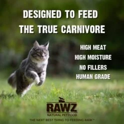 Rawz Natural Premium Shredded Canned Cat Wet Food - Made With Real Meat Ingredients No BPA Or Gums - 5.5oz Cans 24 Count (Chicken & Pumpkin) -Greenies Pet Store 51e9mgCJJ0L