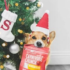 Stella & Chewy's Beef Treats, 3 Item Bundle (Single Animal Protein) -Greenies Pet Store 51eLZj0sXxL 1