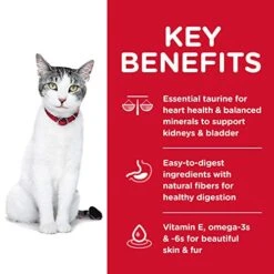 Hill's Science Diet Dry Cat Food, Adult 11+ For Senior Cats, Chicken Recipe, 3.5 Lb. Bag 12 Hill's Science Diet Dry Cat Food, Adult 11+ For Senior Cats, Chicken Recipe, 3.5 Lb. Bag -Greenies Pet Store 51enmUs6UKL