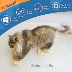 PETKARAY Cat Window Shelf, Original Cat Window Perch Hammock, Durable Cat Seat For Window Sill, Sturdy Indoor Window Stairs For Large Cats 7 PETKARAY Cat Window Shelf, Original Cat Window Perch Hammock, Durable Cat Seat For Window Sill, Sturdy Indoor Window Stairs For Large Cats -Greenies Pet Store 51fE0KI2IzL