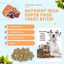 CocoTherapy Organ Bites! Dog And Cat Treat (Chicken + Beet) 3 Oz. 11 CocoTherapy Organ Bites! Dog And Cat Treat (Chicken + Beet) 3 Oz. -Greenies Pet Store 51i1x5b2AIL
