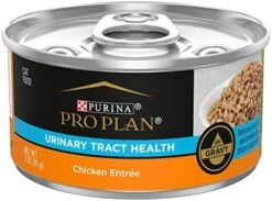 Purina Pro Plan Urinary Tract Cat Food Gravy, Urinary Tract Health Chicken Entree - (24) 3 Oz. Pull-Top Cans -Greenies Pet Store 51iw 0LCTjL. AC