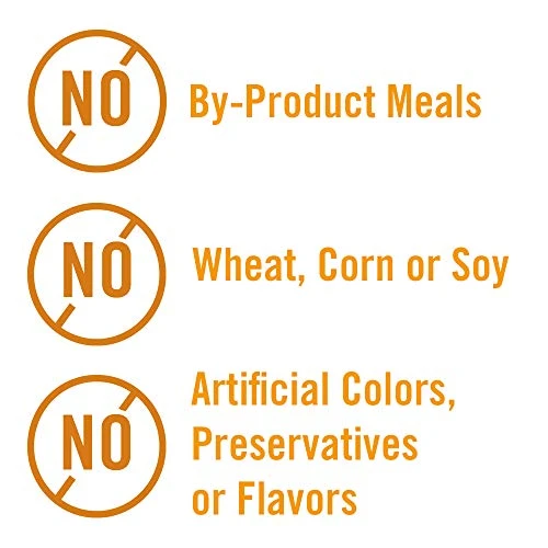 Chicken Soup For The Soul Pet Food - Weight & Mature Care Dry Cat Food, Chicken & Brown Rice Recipe 13.5 Lb. Bag | Soy, Corn & Wheat Free, No Artificial Flavors Or Preservatives 6 Chicken Soup For The Soul Pet Food - Weight & Mature Care Dry Cat Food, Chicken & Brown Rice Recipe 13.5 Lb. Bag | Soy, Corn & Wheat Free, No Artificial Flavors Or Preservatives - Image 4