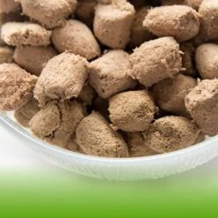 Northwest Naturals Freeze Dried Diet For Cats – Chicken Cat Food – Grain-Free, Gluten-Free Pet Food, Cat Training Treats – 11 Oz. -Greenies Pet Store 51lfpxPsuML