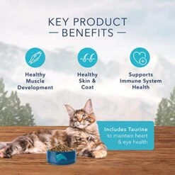 Blue Buffalo Wilderness High Protein, Natural Adult Dry Cat Food, Denali Dinner With Wild Salmon, Venison & Halibut 4lb -Greenies Pet Store 51mCLIBMG0L