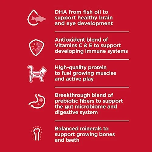 Hill's Science Diet Dry Cat Food, Kitten, Chicken Recipe, 7 Lb. Bag 5 Hill's Science Diet Dry Cat Food, Kitten, Chicken Recipe, 7 Lb. Bag - Image 3