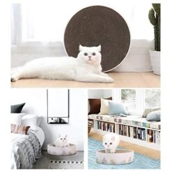 Front Page 32 Front Page -Greenies Pet Store 51nQcuxAhdL