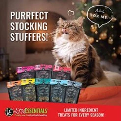 Vital Cat Freeze-Dried All-Natural Wild Alaskan Salmon Cat Treats, 1.1 Oz. -Greenies Pet Store 51nY0q8imRL
