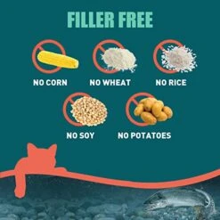 Alaskan Gold SUPER3+ (Salmon+Freeze Dried Raw Salmon+Salmon Fish Oil) Dry Cat Food | Kitten & Adult | High-Protein | Grain-Free | Allergy & Digestive Support| All-Natural | 10-lbs -Greenies Pet Store 51oJVwvR9nL