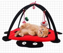 YangYan Foldable Kitten Tents Funny Pet Cat Tent Toys Pets Play Bed Toys Cat Play Mat Blanket House With Hanging Toy Cute Beetle Shape (Color : Red) -Greenies Pet Store 51p5WnlNCSL. AC