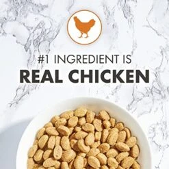 NUTRO WHOLESOME ESSENTIALS Natural Dry Cat Food, Adult Cat Chicken & Brown Rice Recipe Cat Kibble, 5 Lb. Bag -Greenies Pet Store 51p7jMBDJKL