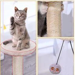 JYDQM Toy Climbing Furniture Cats Scratching Shape Interactive Toys Kitten Climbing Frame Cats Scratch Board (Color : A, Size : One Size) 10 JYDQM Toy Climbing Furniture Cats Scratching Shape Interactive Toys Kitten Climbing Frame Cats Scratch Board (Color : A, Size : One Size) -Greenies Pet Store 51qVChtD3YL