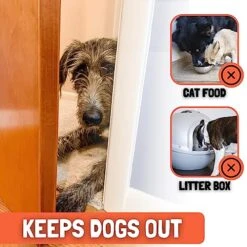 Door Buddy Door Prop For Cats - Easiest Cat Door Latch Holder To Keep Interior Door Open For Pets - Dog Proof Cat Feeding Station & Litter Box - Strong & Portable Door Stopper & Pet Gate Alternative -Greenies Pet Store 51qYu328kfL